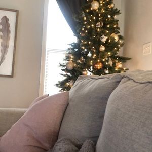 Meet your Posher, Haley